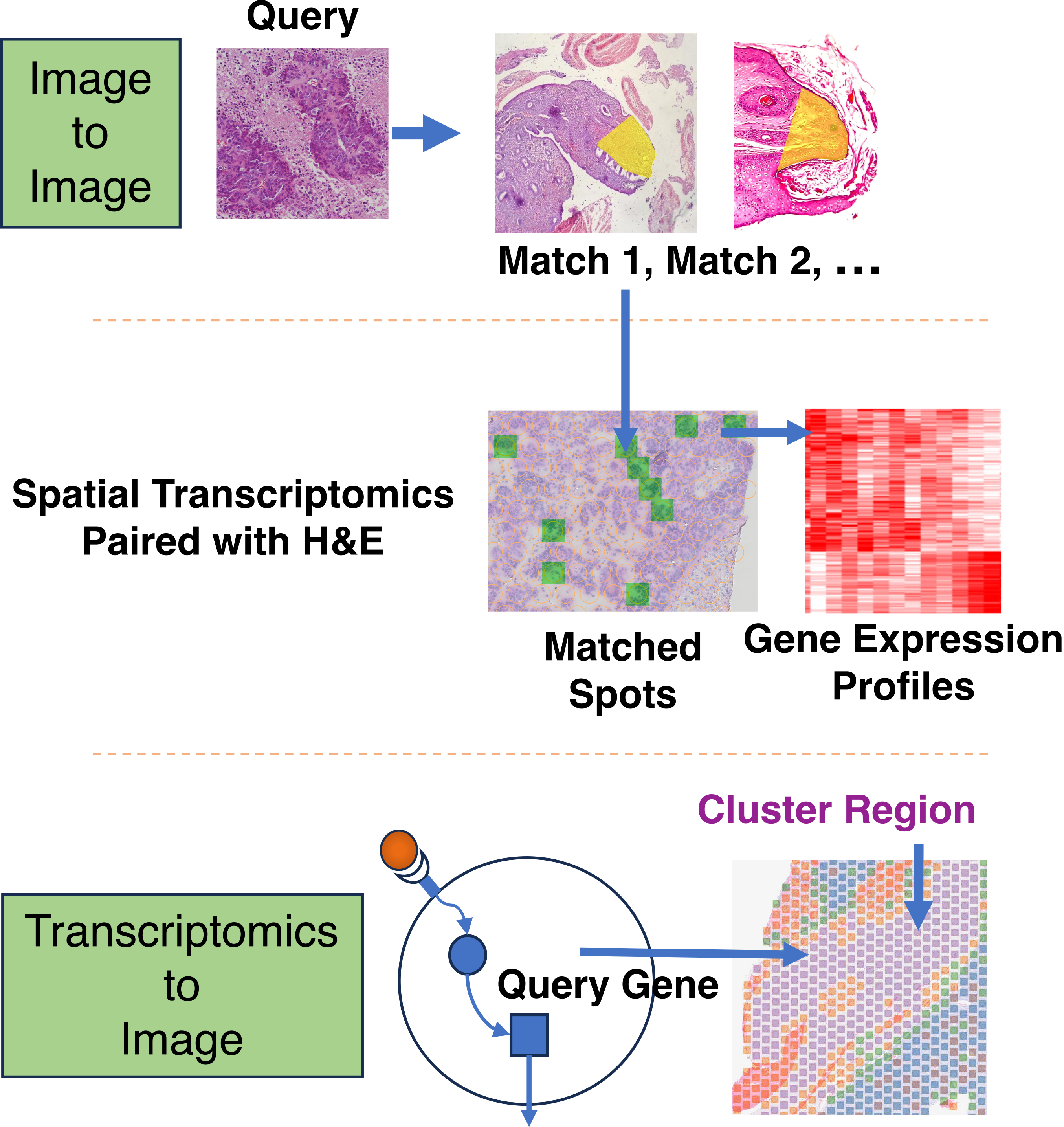 HERE framework